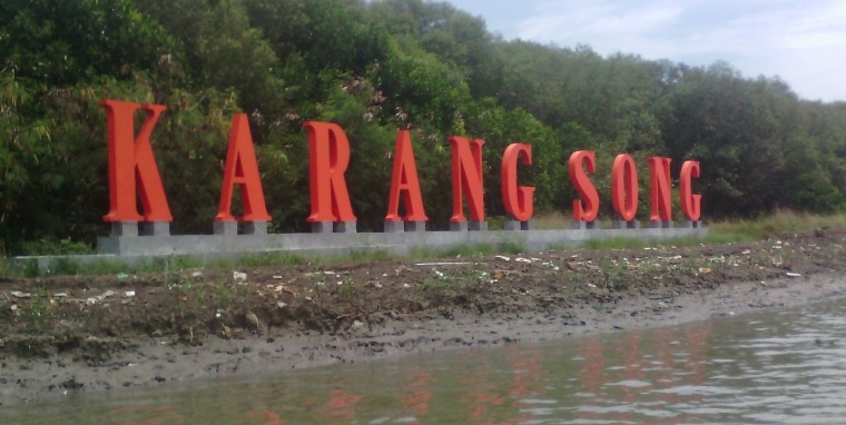 Hutan mangrove Karangsong, 10 Desember 2016 (Dok. Pri)
