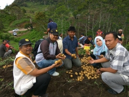 Gambar 1, Melihat panen kentang di Pantan Terong bersama teman dari BPTP Aceh dan PT Ambagiri (Doc. FMT)