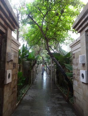 Lorong-lorong antar kamar hotel yang berhiaskan tumbuhan maja. Dok.pri