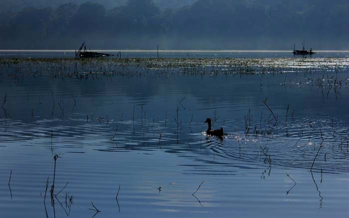 Ket : harmonisasi di pagi hari Danau Tamblingan| Dokumentasi pribadi