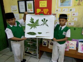 a-tampil-5857fb8cd492736c62105753.jpg