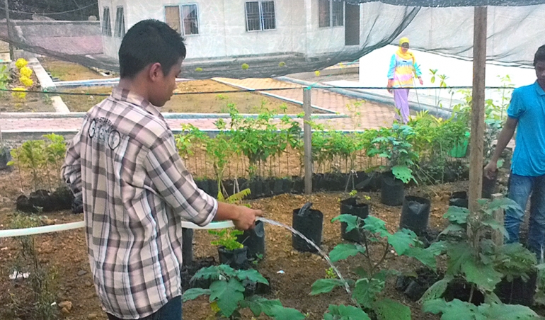 Seorang anak binaan Panti Kasih Ibu sedang menyiram sayuran di kebun komplek panti tersebut. (Dokumentasi Pribadi)