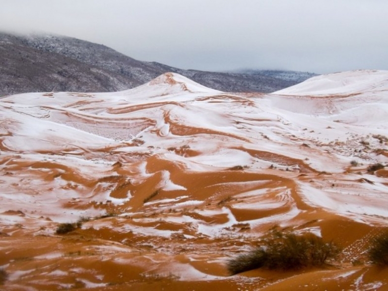 Foto Salju diatas Gurun Sahara. Source: Karim Boucheta/Shutterstock