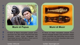 Peninggalan Mumi juga ditemukan di Papua (diolah dari berbagai sumber)