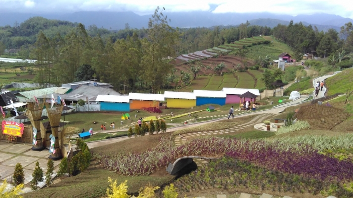 Gambar  Jenis Kelinci  Hias Pedaging Populer Dunia American   Gambar  Jenis Kelinci  Hias Pedaging Populer Dunia American