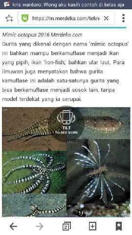 Foto: Mimic Octopus, screenshoot oleh IP