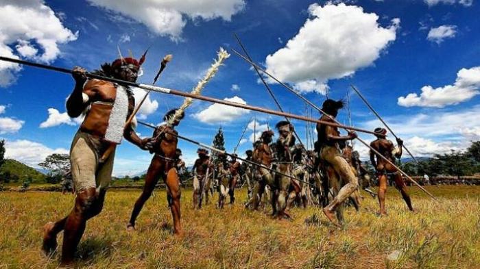 Atraksi Perang Antar Suku di Lembah Baliem/TribunNews.com