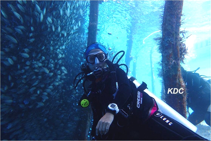 Menyelam dan bermain bersama ribuan ikan di Raja Ampat. (Foto: Dok. KDC)