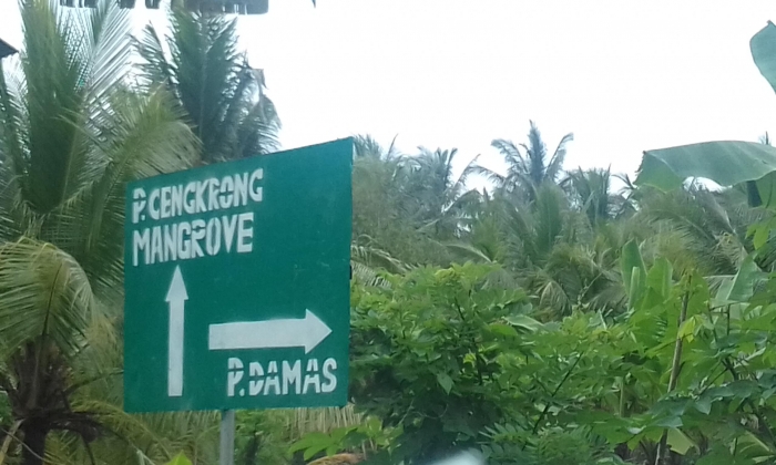 Sensasi Pasir Putih dan Ecowisata Mangrove di Trenggalek Sensasi Pasir Putih dan Ecowisata Mangrove di Trenggalek