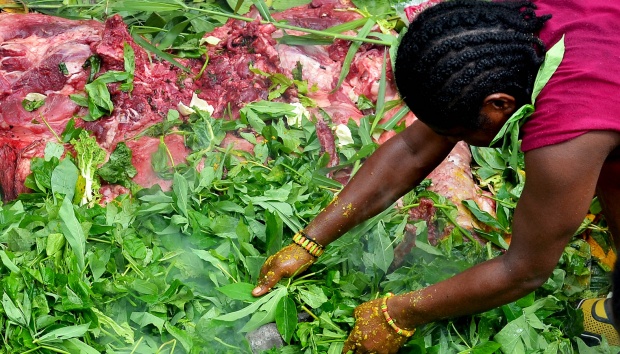 3. Daging babi yang telah dimasukkan ditutupi lagi dengan daun-daunan. Tak lupa setelah itu batu-batu panas kembali diletakkan di atasnya dan dilapisi lagi dengan menggunakan rumput-rumputan yang tebal. (Tempo.co).