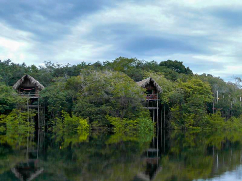 rumah suku Korowai (foto:theplaidzebra.com)