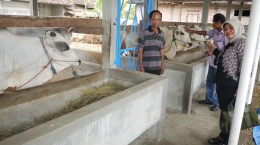 Saat bertemu Kelompok Tani Ternak Gemah Ripah II di Panjatan dan KUB Sido Makmur di Kalibawang Kulon Progo yg pernah terima program UPPO Rp 200 juta
