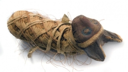 Mummi kucing asal Mesir yang berusia ribuan tahun. Photo: NHM/SCIENCE PHOTO LIBRARY 