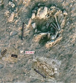 Penemuan kerangka kucing di kuburan manusia di Cyprus yang berusia 9,500 tahun. Sumber: media1.s-nbcnews.com 