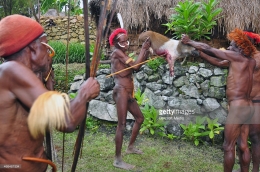 4. Ritual memanah babi dalam upacara bakar batu (Getty Images).