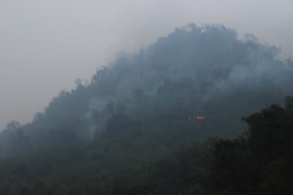 Hutan terbakar di Matan Jaya, Simpang Hilir, KKU. foto dok. Yayasan Palung
