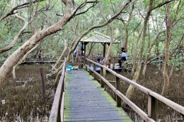 Hutan Mangrove Morosari Demak