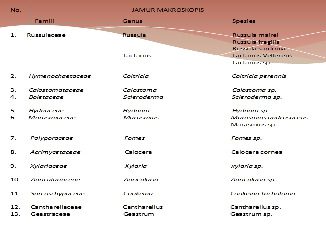 Jamur makroskopis. Data Ogi 2016