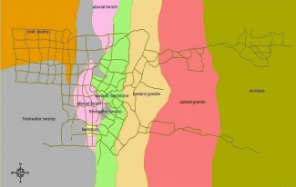 Jamur Makroskopis Manfaat Dan Bahayanya Bagi Kehidupan Jamur Makroskopis Manfaat Dan Bahayanya Bagi Kehidupan