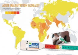 Peta malnutrisi anak dunia. Sumber: www.actionagainsthunger.org, UNICEF
