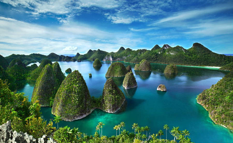 Raja ampat. Sumber: versesofuniverse.blogspot.com