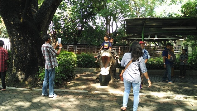 Saya senang sekali melihat pemandangan ini (dokumentasi pribadi)