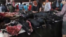 Aktivitas Pasar Tomohon-Manado Yang Menjual Aneka Daging Hewan Untuk Konsumsi I Koleksi Pribadi