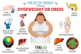 Figure. Health risk due to obesity (source: top10homeremedies.com)