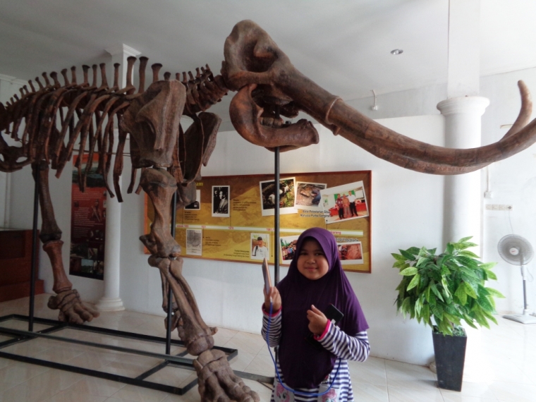 kerangka tiruan Stegodon trigonochepalus yang menutupi penjelasan tentang sejarah situs Patiayam karena terbatasnya tempat
