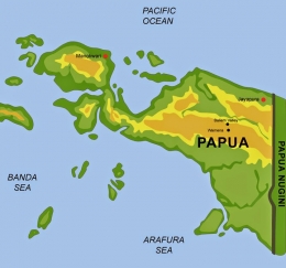 Pulau Papua (Sumber gambar : 3.bp.blogspot.com)