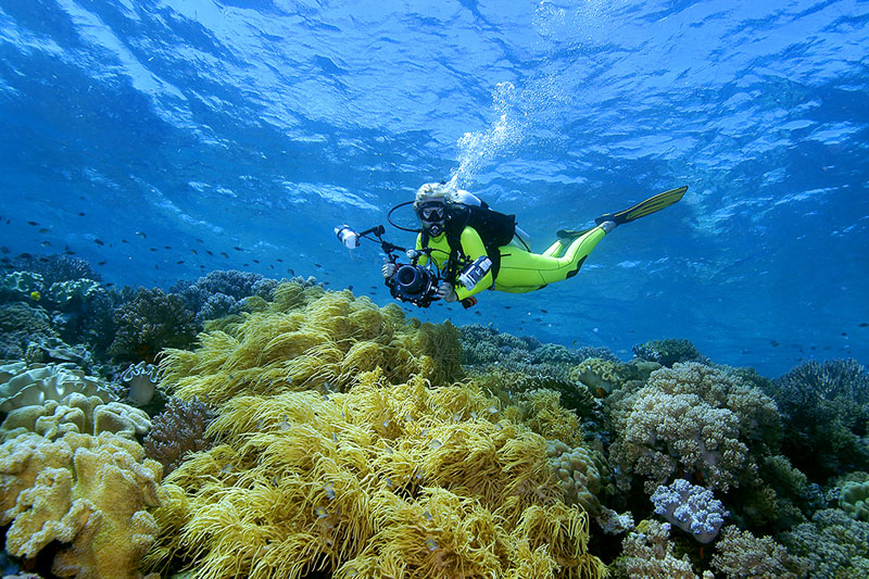 Keindahan bawah laut Wakatobi | Ganlob.com