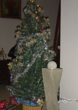 Pohon natal abadi dari plastik (dok-Gana)