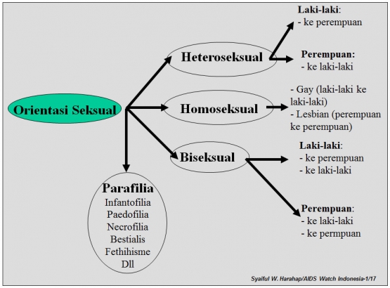 koleksi pribadi