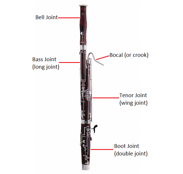 bassoon-anatomy-5879a0312d7a61bb040df276.png