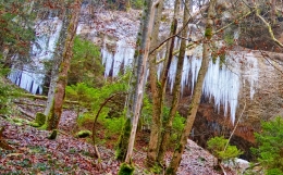 Stalaktit es di hutan (dokumentasi pribadi)