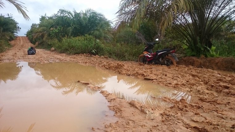 (foto jalan sawit jarak tempuh 50 menit – 90 menit)