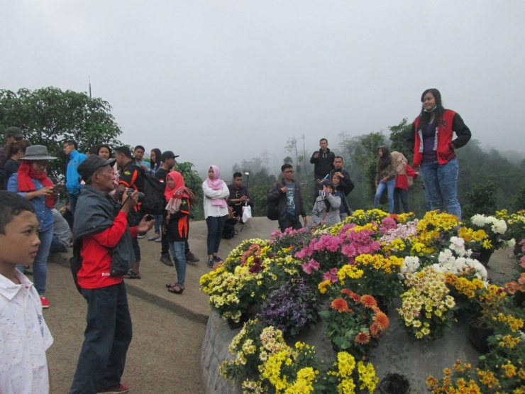 Taman bunga di atas bukit yang banyak dikunjungi untuk mencari tempat terbaik mengabadikan diri. Dok pribadi