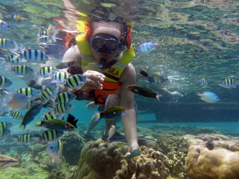 Snorekeling di Kepulauan Seribu. (Dokpri)