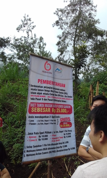 Sensasi Taman Wisata Bunga Di Bukit Bulu Halaman All Sensasi Taman Wisata Bunga Di Bukit Bulu Halaman All