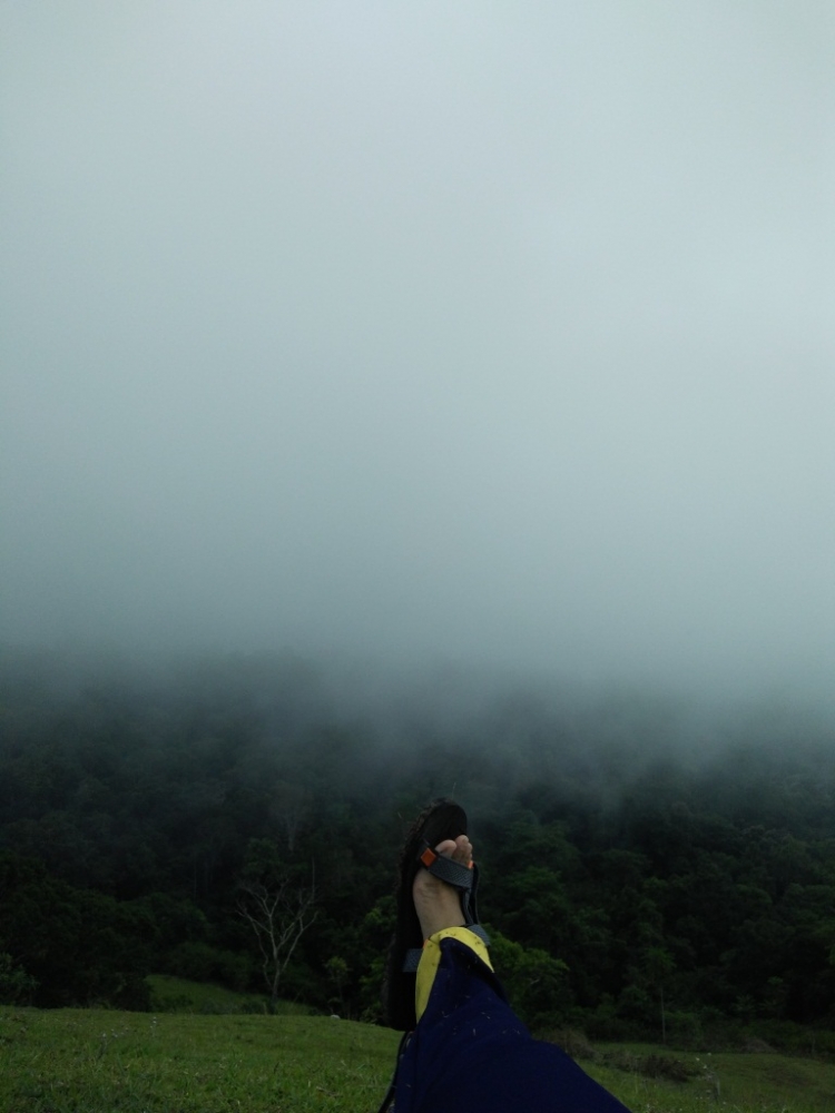img20170114104951-587eb6bf967a61ce038b456e.jpg