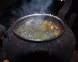 Teh trasan, demikian masyarakat yang tinggal di lereng gunung Merbabu menyebut teh yang dari daun segar langsung direbus (dok.pri).