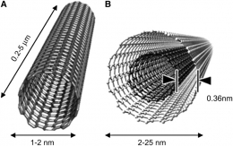 Struktur nanotube vantablack. Ilustrasi: s3files.core77.com
