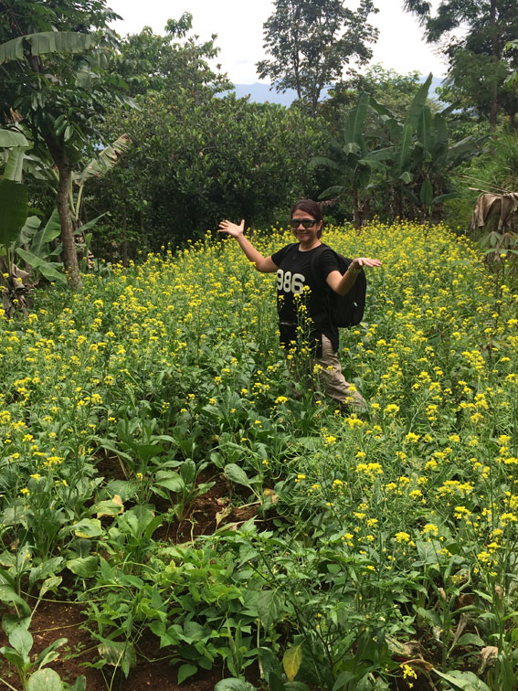 Ladang Brokoli yang berbunga bisa cantik ya