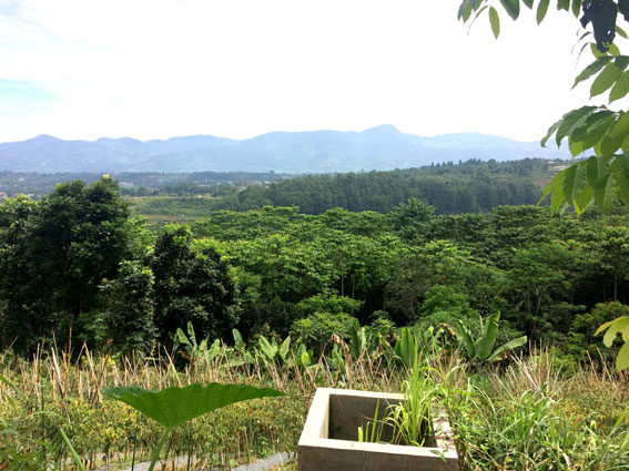 Teka teki Makam Jerman di Megamendung Bag 1 oleh Diella Teka teki Makam Jerman di Megamendung Bag 1 oleh Diella