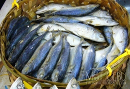 Ikan gembung, produk khas pasar DI SIantar, SUmatera Utara