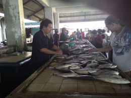 Ikan segar yang djual di Belakang Padang Batam. Ikan tersebut umumnya dipasok dari nelayan langsung sehingga lebih segar. | Dokumentasi Pribadi.