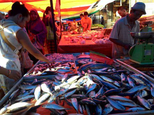 Penjual ikan d Pasar Bengkong Harapan. | Dokumentasi Pribadi.