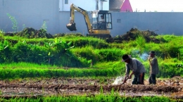 Bangunan kosong dan tidak terawat banyak terdapat di lokasi transmigrasi di Satuan Permukiman 7, Distrik Bonggo Barat, Kabupaten Sarmi, Papua, Jumat (29/5). (KOMPAS/DANU KUSWORO)