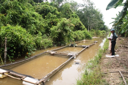 Kolam Ikan di dusun tanjung.Dok Desa Teluk empening