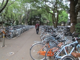 Tempat parkir sepeda di Chiba University (Dok. Pribadi)